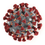 This illustration provided by the Centers for Disease Control and Prevention in January 2020 shows the 2019 Novel Coronavirus (2019-nCoV). This virus was identified as the cause of an outbreak of respiratory illness first detected in Wuhan, China. (Centers for Disease Control and Prevention via AP)